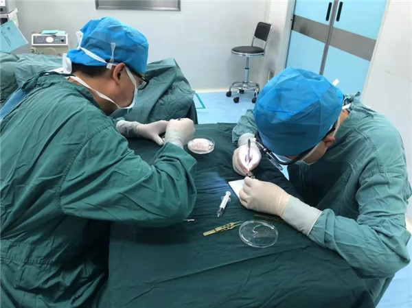 1.webp.jpg 1.webp.jpg