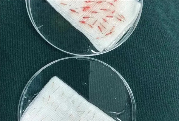 2.webp.jpg 2.webp.jpg