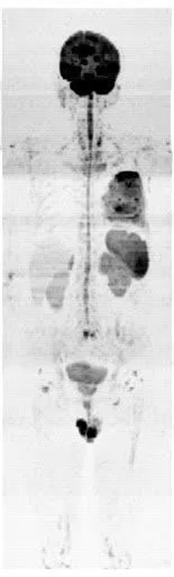 2.webp.jpg 2.webp.jpg