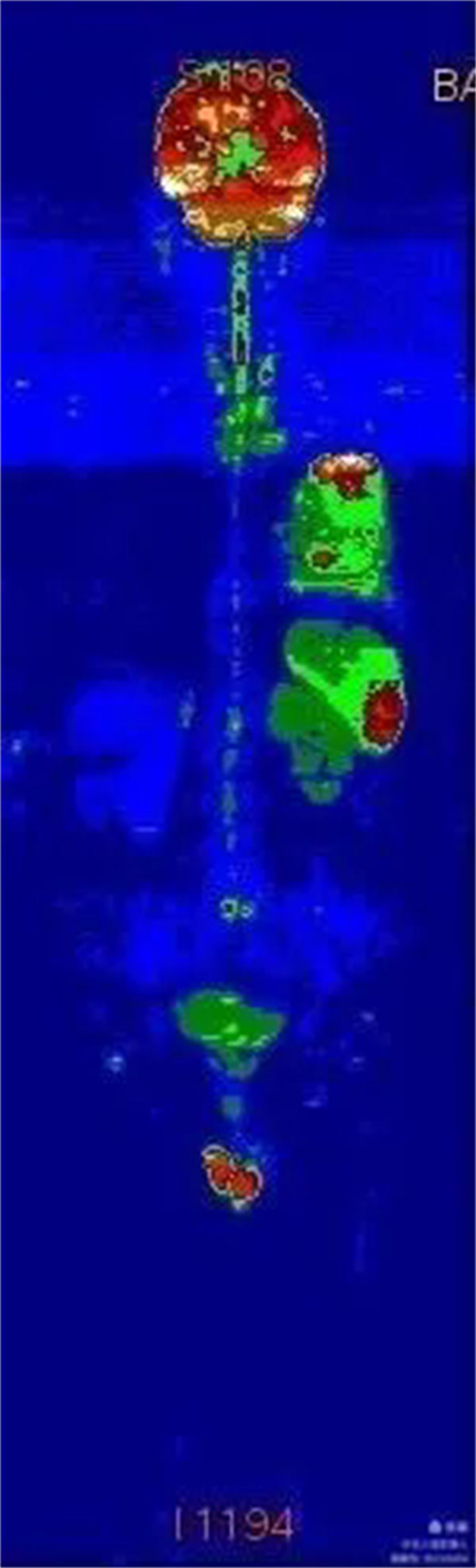 3.webp.jpg 3.webp.jpg