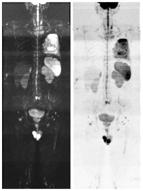 4.webp.jpg 4.webp.jpg