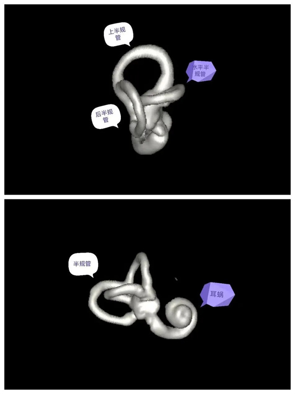 9.webp.jpg 9.webp.jpg