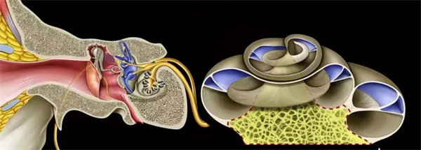 10.webp.jpg 10.webp.jpg