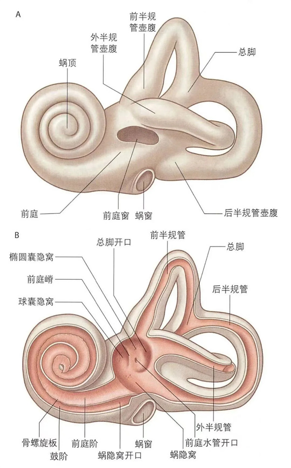 11.webp.jpg 11.webp.jpg