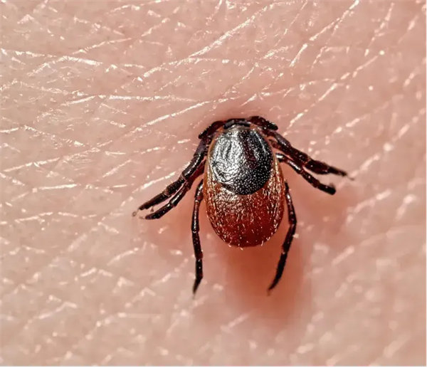 2.webp.jpg 2.webp.jpg