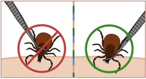 3.webp.jpg 3.webp.jpg