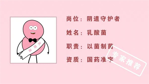 2.webp.jpg 2.webp.jpg