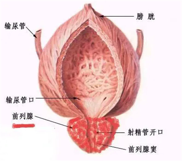 2.webp.jpg 2.webp.jpg