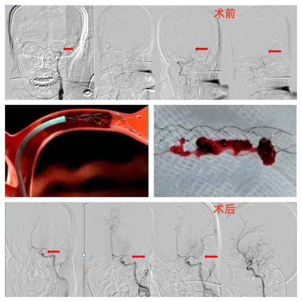 12.webp.jpg 12.webp.jpg